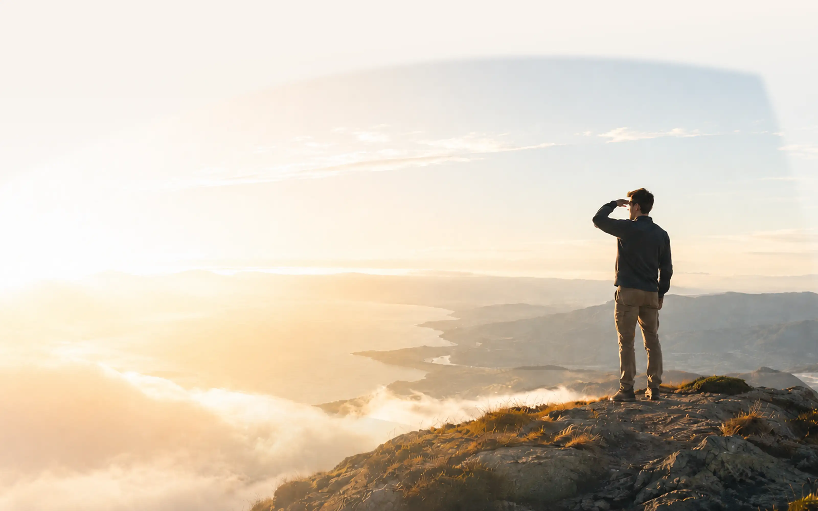 Scout searching for backlink opportunities
